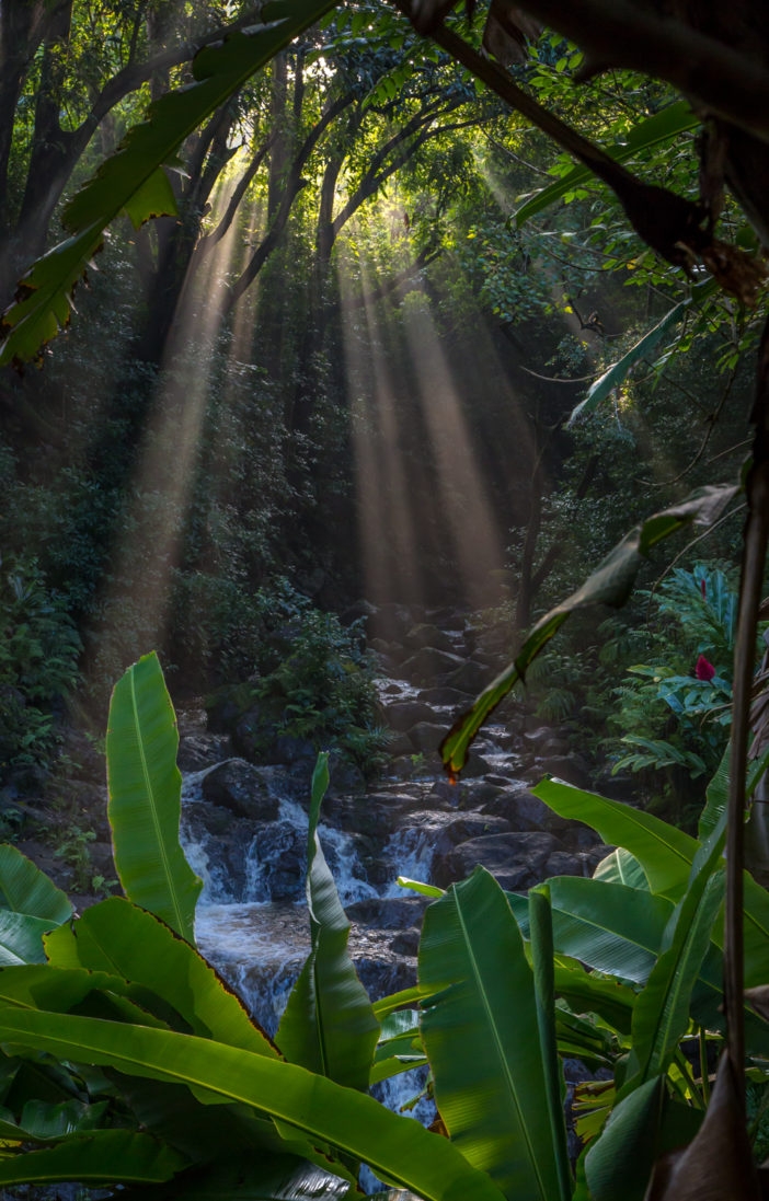 Sonnenlicht (Road to Hana)