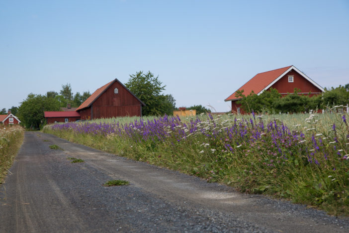 Auf Visingö