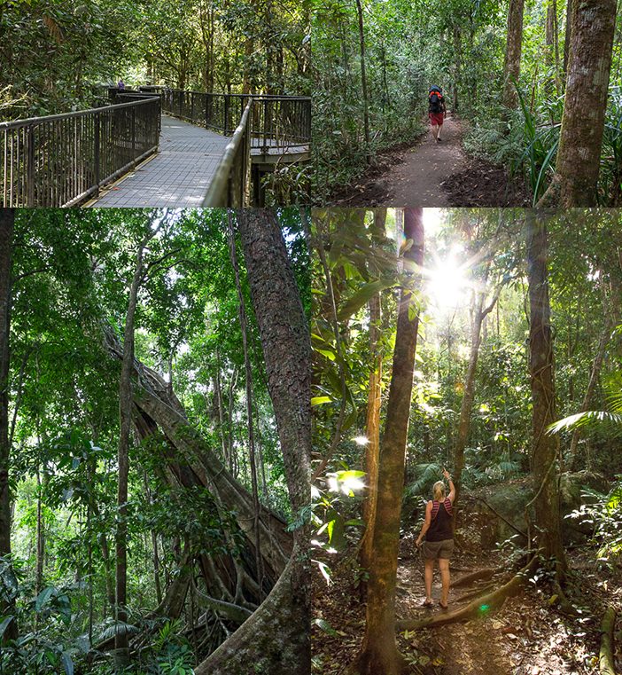 Mossman Gorge