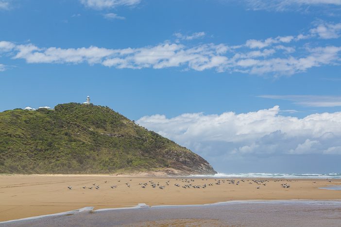 Blick auf dem Leuchtturm vom schönen Strand des Nationalparks