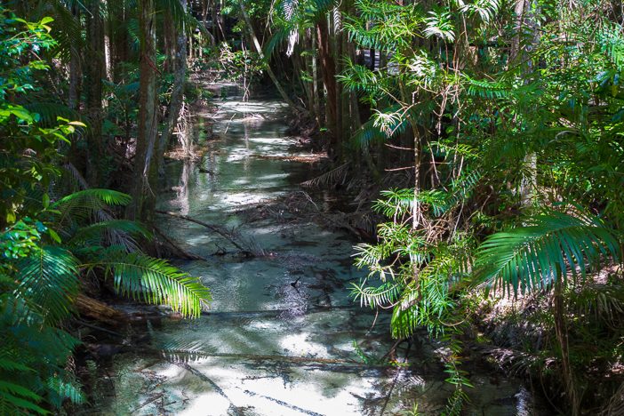 Fraser Island