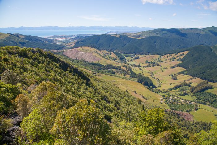 Wahnsinnsblicke bis ans Meer auf der Strecke nach Takaka