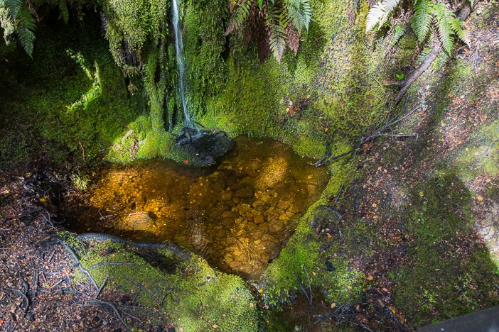 Kleiner Wasserlauf mit Herz