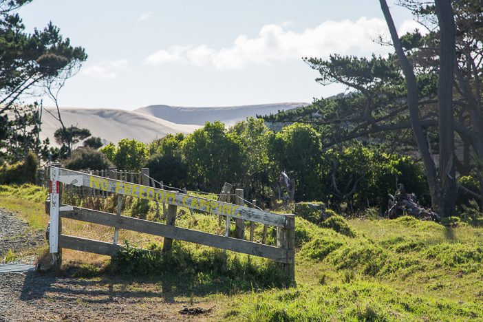 Te Paki Sanddünen - bis zu 150m hoch