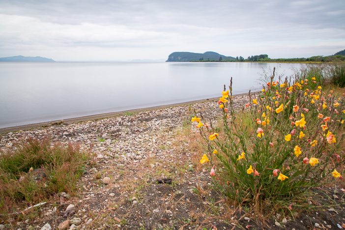 Lake Taupo