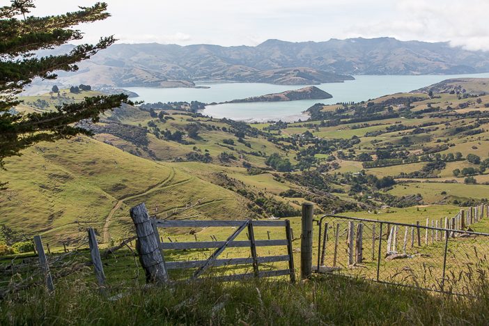 Blicke entlang der Summit Road nach Akaroa