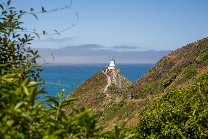 Der Leuchtturm am Nugget-Point