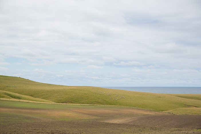 Saftige grüne Wiesen wie in Irland oder Schottland