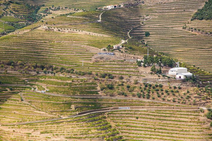 portugal-douro-6249