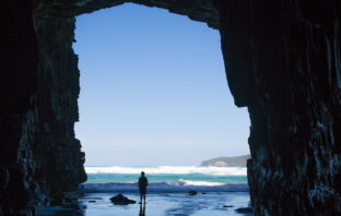South Coast & die Catlins: Weniger Touristen, mehr Tiere